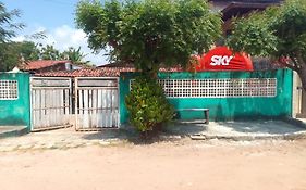 Flor De Cacto